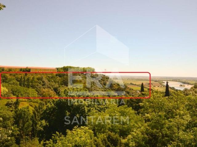 Santarém Santarém 102578012