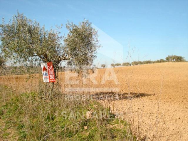 Santarém Santarém 102578018