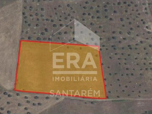 Santarém Santarém 102578021