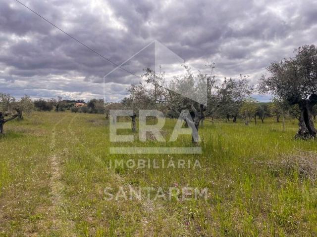 Santarém Santarém 103404973