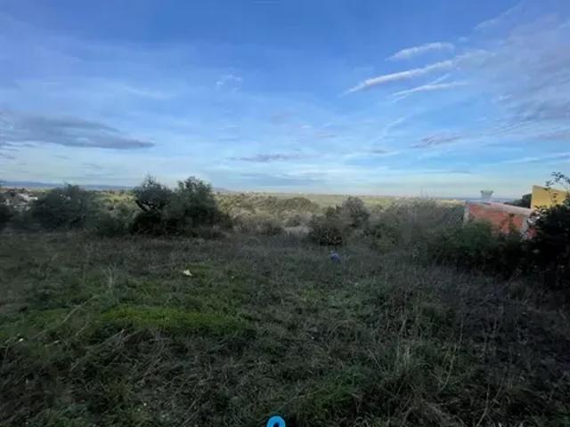 Santarém Santarém 103540733