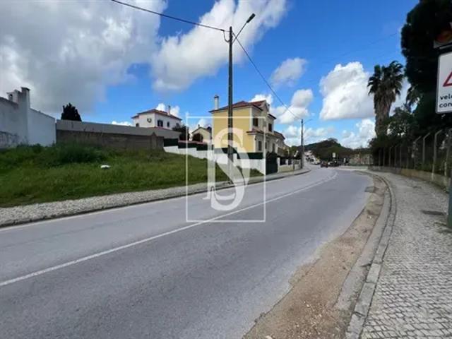Santarém Santarém 103541050