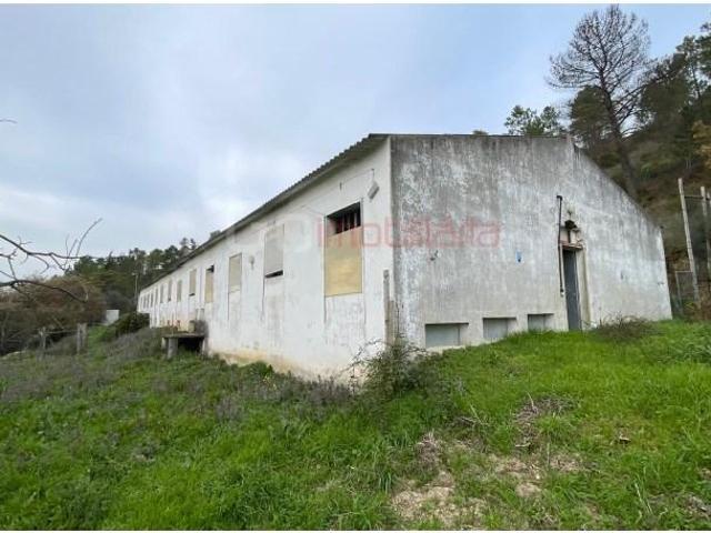 Santarém Santarém 103702599