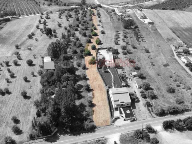 Santarém Santarém 103702600