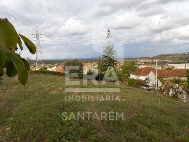 Santarém Santarém 103022610