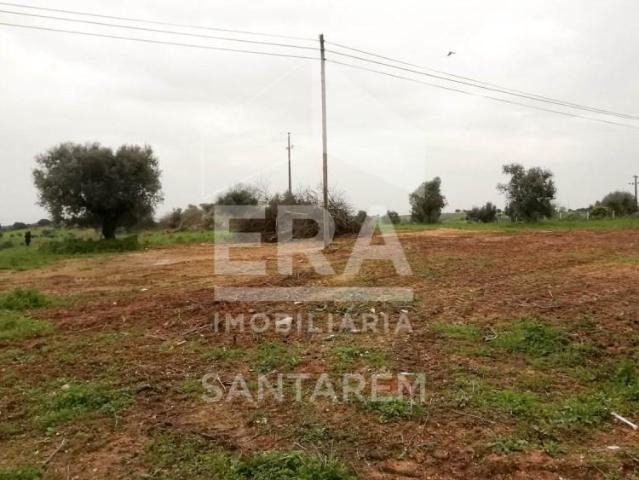 Santarém Santarém 103236786