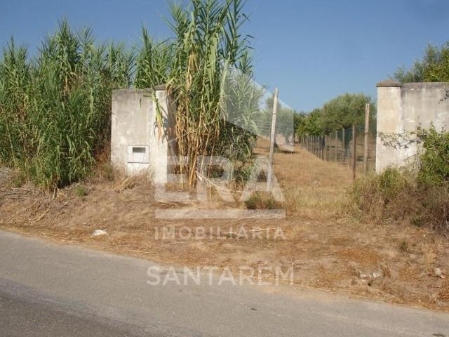 Santarém Santarém 103236794