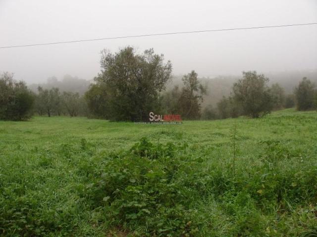 Santarém Santarém 104970690
