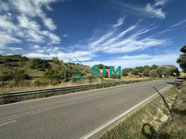 Santarém Santarém 2025 103879303