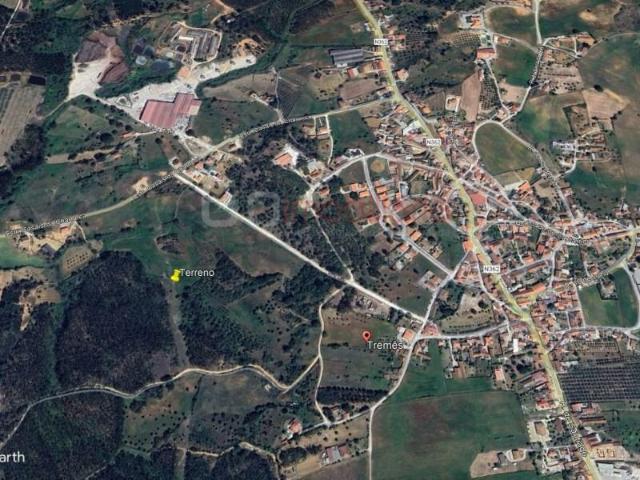Santarém Santarém 2025 499 103702593