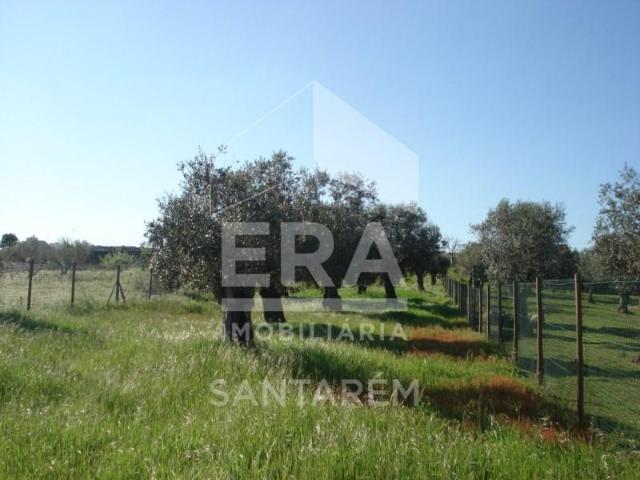 Santarém Santarém LS100965281