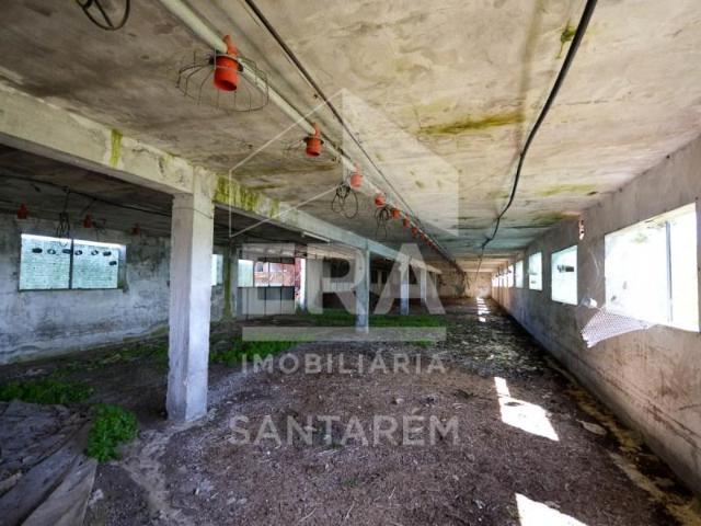 Santarém Santarém LS101972467