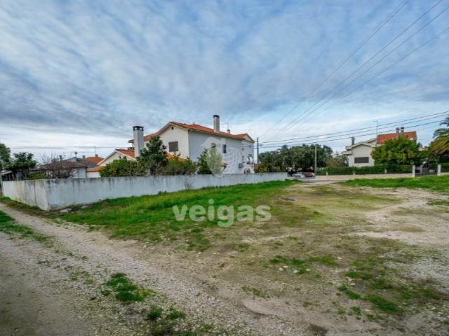 Santarém Santarém LS102233006
