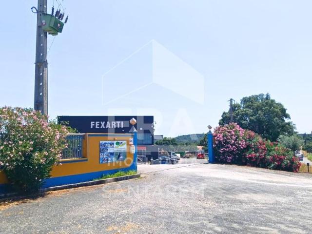 Santarém Santarém LS102320646