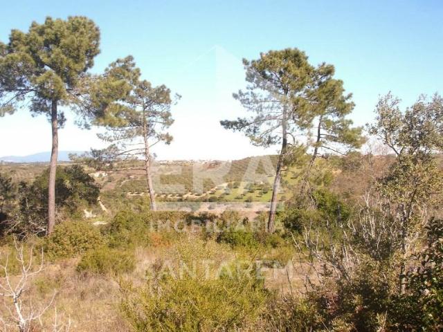 Santarém Santarém LS102791248