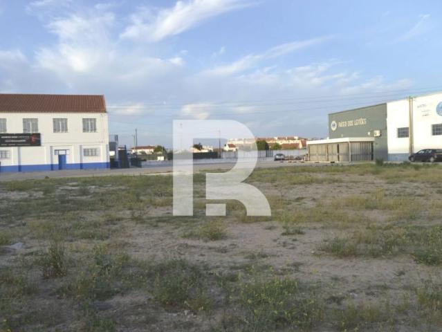 Santarém Salvaterra de Magos 2120 LS102845829