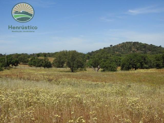 Santiago do Cacém Santiago do Cacém 98983997