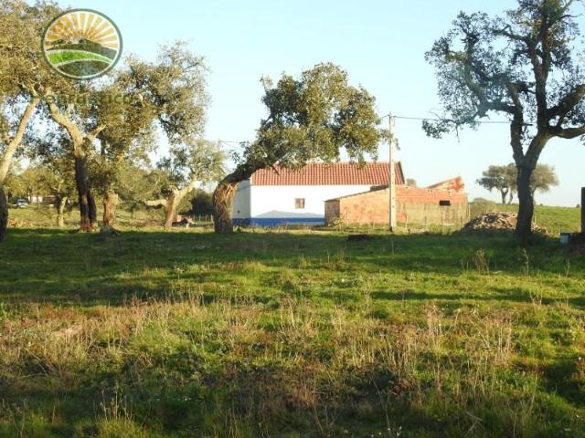 Santiago do Cacém Santiago do Cacém 98983994