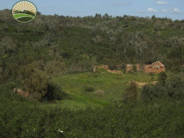 Santiago do Cacém Santiago do Cacém 101576900