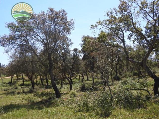 Santiago do Cacém Santiago do Cacém 101633782