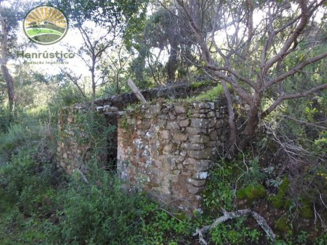 Santiago do Cacém Santiago do Cacém 103335029