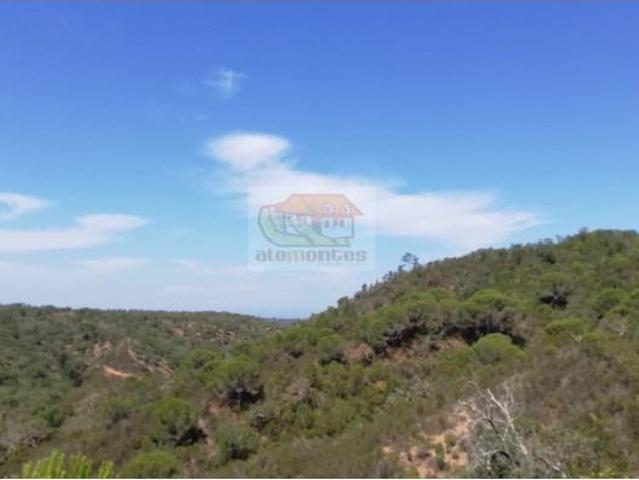 Santiago do Cacém Santiago do Cacém 103389017