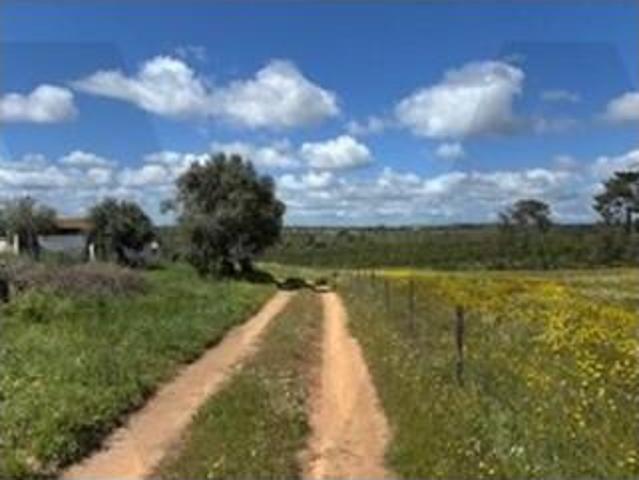 Santiago do Cacém Santiago do Cacém 104328320