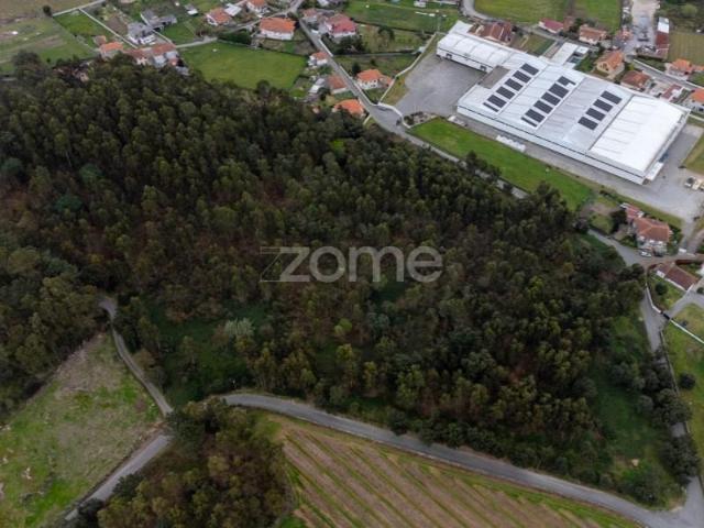 Santo Tirso Santo Tirso 96714987
