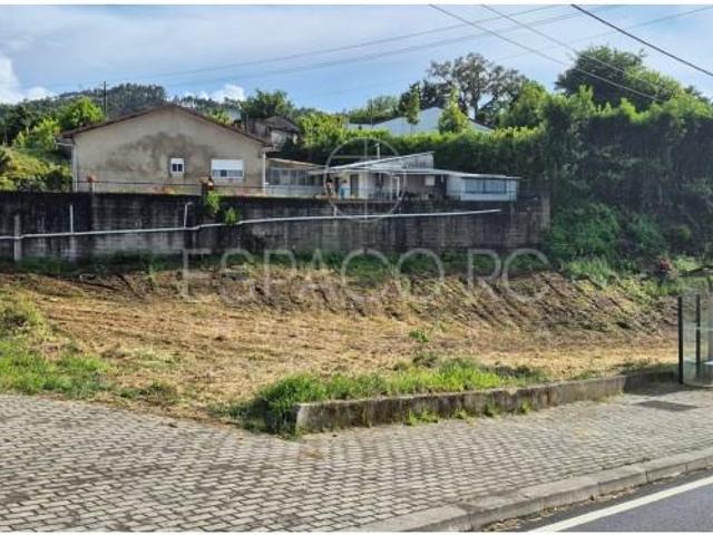 Santo Tirso Santo Tirso 102260972