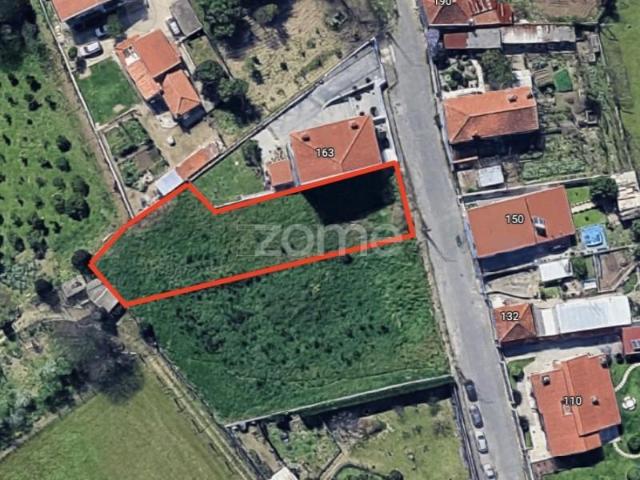 Santo Tirso Santo Tirso 103378587