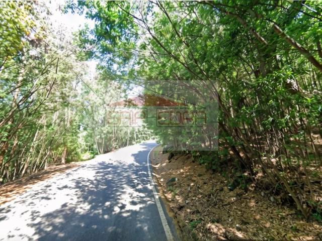 Santo Tirso Santo Tirso 104847896