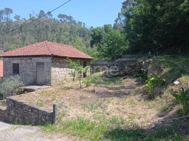 Santo Tirso Santo Tirso LS91861909