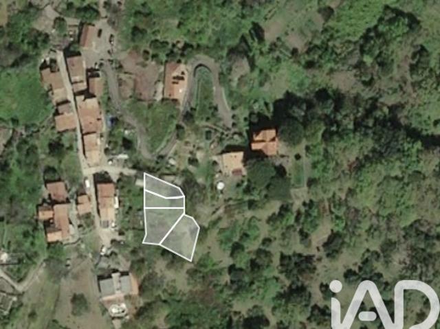 Santo Pietro di Tenda Vente Terrain 20
