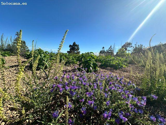 Santuario ecológico entre pinos, mar y estrellas