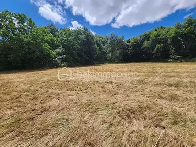Sanxay 86600 Achat / Vente terrain