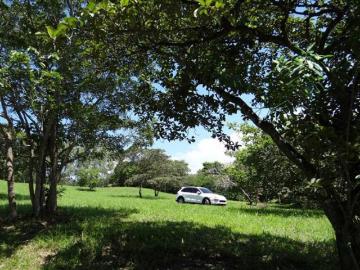 SAN CARLOS HACIENDA LAS LAGARTIJAS LOTE