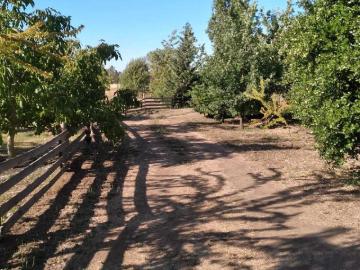 San Carlos, Venta Parcela sector Ninquihue Sn Carlos 80123
