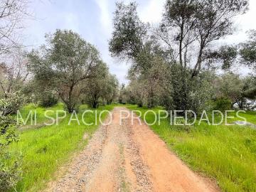 San juan camino leyda – llolleo