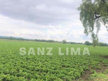 SAN JUAN DE LA VEGA: TERRENO AGRICOLA LISTO PARA TRABAJAR