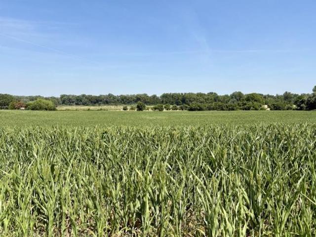 San Lazzaro di Savena Vendesi terreno agricolo