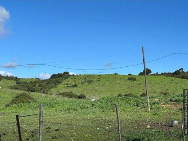SAN MARTIN DEL TESORILLO TERRENO RUSTICO