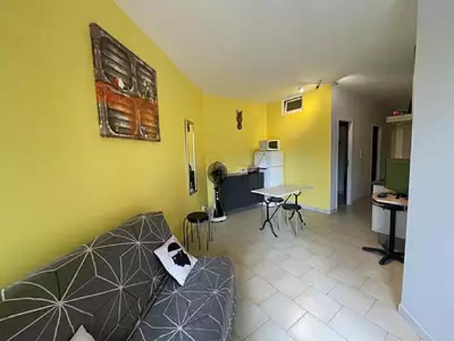 San Nicolao 20230 Achat / Vente appartement 1 pièce t1 piscine