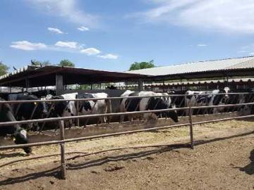 San Sebastian del Salitre, Guanajuato, Rancho o rancheria San Sebastián del Salitre