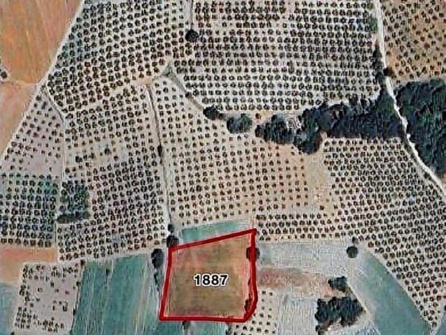 SANAYİ VE OTOBANA YKN ULUABAT GÖL MANZARALI 4300M2 SATILIK TARLA