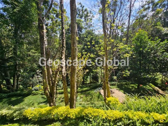 Sanctuary Five Bedroom House for Rent in Kitisuru