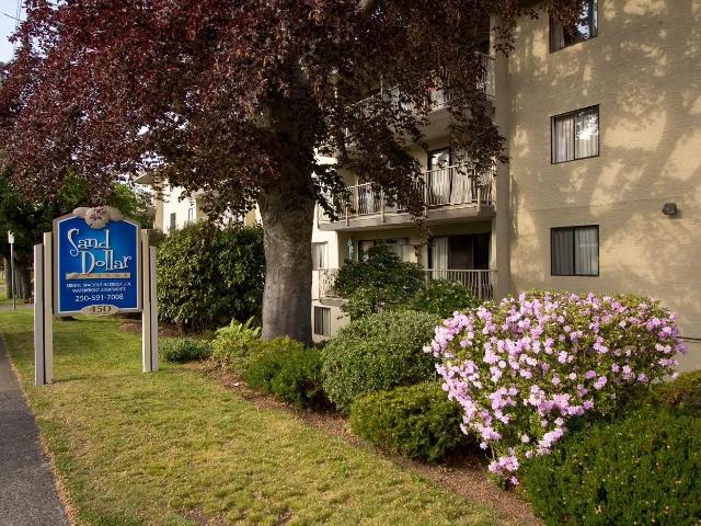 Sand Dollar Manor