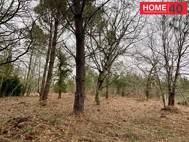 Sanguinet 40460 Achat / Vente terrain