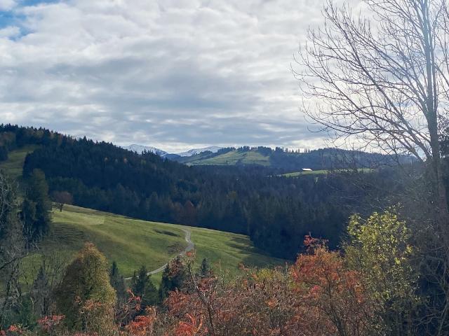 saniertes 3 FH bei Grünenbach – Vermietungsobjekt Ferienwohnungen od. als Generationenhaus nutzbar