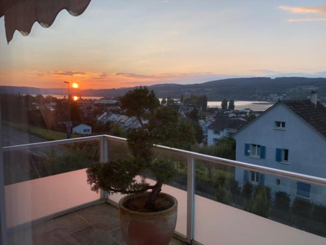 Saniertes 2 Familienhaus mit Seesicht in Steckborn 8 Zimmer