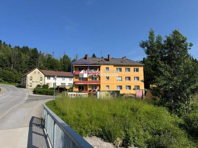 Neuer Preis* 2 Zimmer Wohnung mit Balkon und Grünblick – 2. Obergeschoss in Afflenz Kurort
